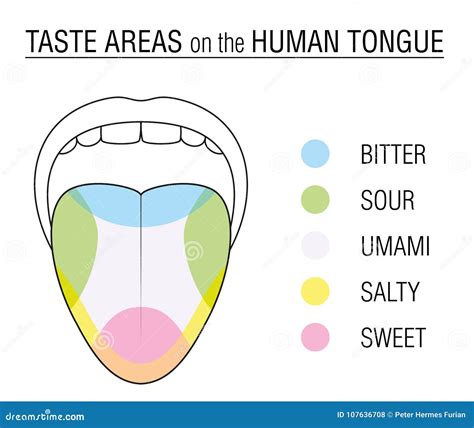 rep where i speak that bay area tongue